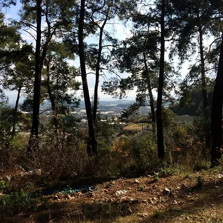 Emerald Park